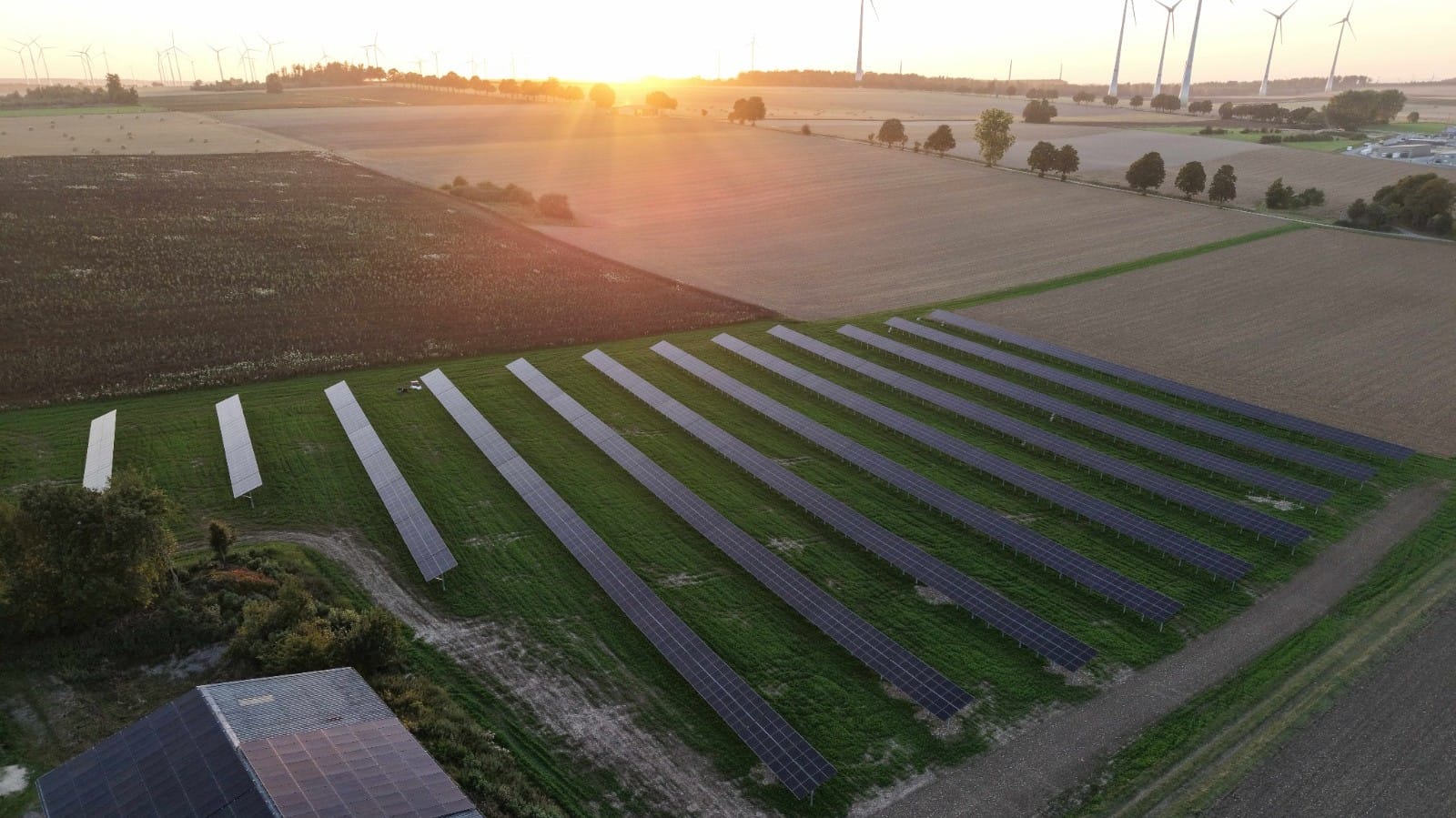 Zrównoważone rozwiązania Budmat PV Systems dla Agri-PV